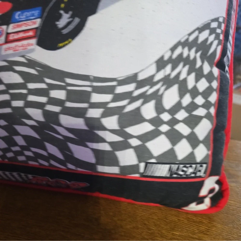 Dale Eanrhardt Sr.  Pillow‎